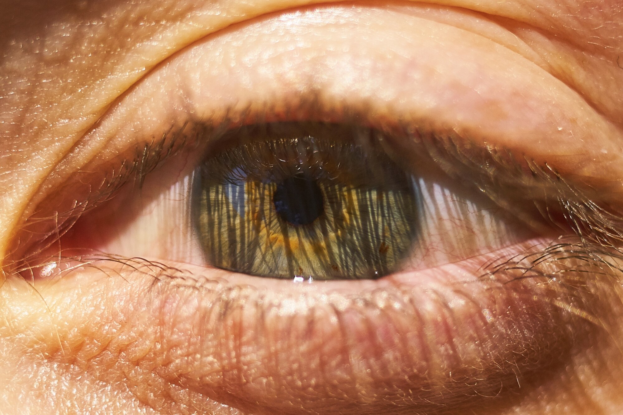 Primer plano del ojo humano mostrando la estructura del iris y la pupila